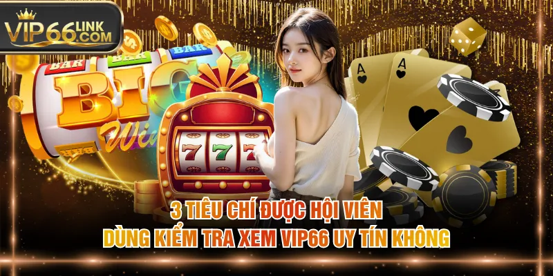 3 tiêu chí được hội viên dùng kiểm tra xem VIP66 uy tín không