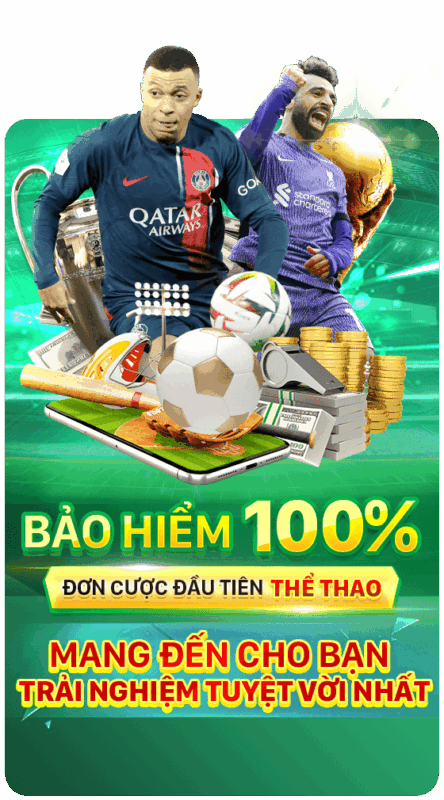bảo hiểm vip66