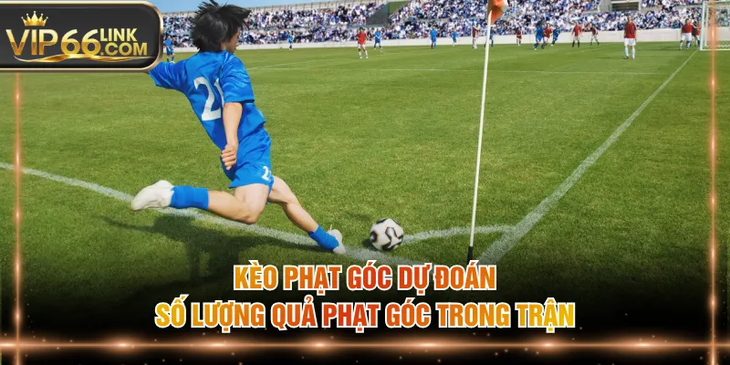 Kèo phạt góc dự đoán số lượng quả phạt góc trong trận