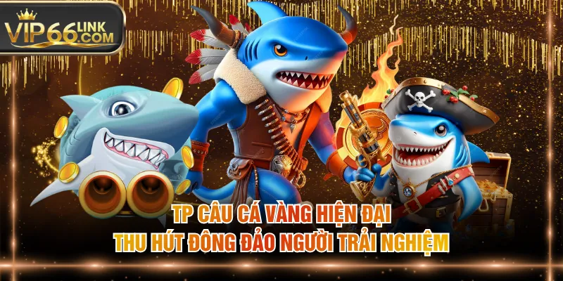 TP câu cá vàng hiện đại thu hút đông đảo người trải nghiệm