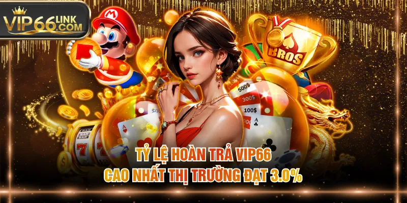Tỷ lệ hoàn trả VIP66 cao nhất thị trường đạt 3.0%
