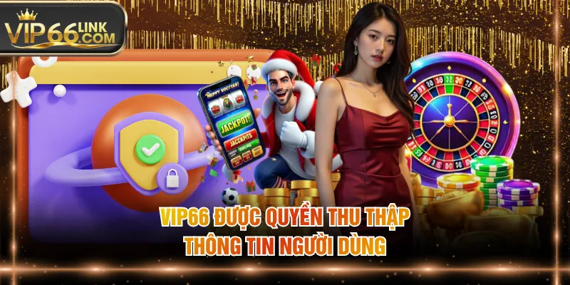 VIP66 được quyền thu thập thông tin người dùng